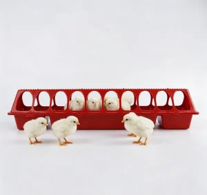 12 18 28 Grid Precision Molded Small Bird Flip Top Poultry Chick Trough Feeder Paddock Provision Clog Free