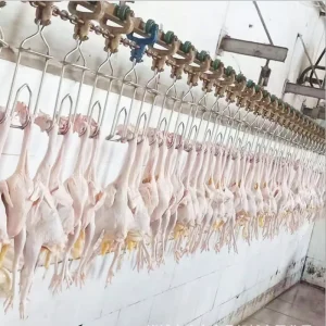 3000-5000 BPH Full Automatic Chicken Slaughter Line Poultry Equipment High Efficiency Low Loss Export Kenya Ethiopia
