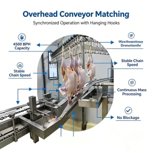 304 Stainless Steel Automatic Broiler Chicken Head Pulling Machine 4500BPH for Poultry Slaughter Conveyor Line