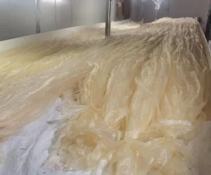 30mm Natural Hog Intestine Casing 19mm Salt Diameter for Sausage Making Dried 2 Years Shelf Life Softened Soaking