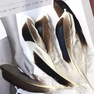 4-6 Inch Mallard Duck Body Feather Iridescent Blue Mallard Duck Wing Feather