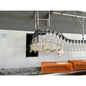 500pcs Per Hour Broiler Farm Automatic Slaughterhouse Equipment Chicken Poultry Slaughtering Line