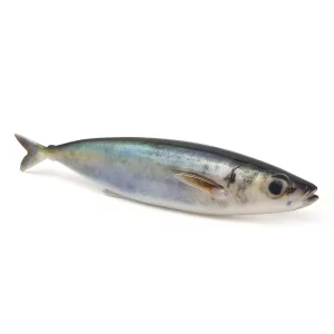 Aotuo Hot Selling 15cm 33.5g 3D Printed Realistic Bionic Mackerel Swimbait Soft Lure for Bass Saltwater Boat Fishing