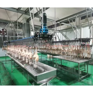 Automatic Chicken Slaughter Line for High Efficiency Poultry Processing