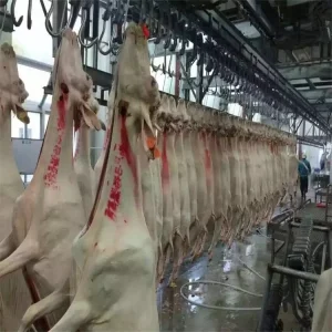 Automatic Goat Slaughtering Line With Lamb Abattoir Meat Process Equipment Sheep Slaughtering Equipment