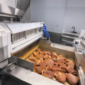 Automatic Meat Tenderizer Injectors Chicken Beef Pork for Brine Injection Meat Machine