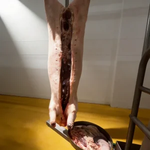 Bacteria Inhibiting Stainless Steel Safe Pig Slaughter Line for Fresh Meat Supply Chain