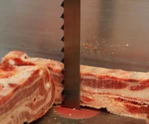 Band Saw Blade for Food Processing Cutting Meat Fish Poultry Beef with Bone Boneless Frozen Fresh TCT