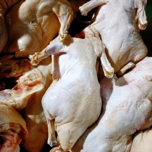 Beijing Roast Duck in China Is Made From White Feathered Ducks