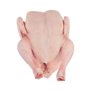 Best Quality Healthy and Natural Whole Chicken Halal Frozen Whole Chicken From Turkey Poultry Meat Chicken