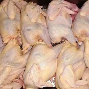 Bulk 100% Pure Organic Freeze Dried Frozen Whole Chicken Premium Quality Meat and Food Safe