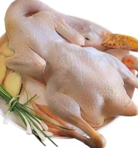 Bulk Halal Frozen Duck for EU Export China BRC Certified