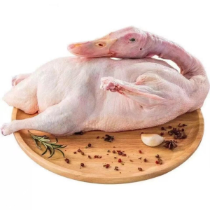 Bulk Quantity High Quality Frozen Whole Duck for Retail and Snack Industry