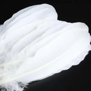 Bulk Soft White Clean Goose Feather Duck Feather for Hats Decoration Badminton Making