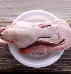 Buy Clean Frozen Whole Duck Fast Delivery Low Price Premium Top Quality