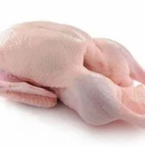 Buy Halal Frozen Whole Duck Available Now for Export