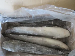 Catfish Seafood Pangasius Catfish Export Frozen Catfish