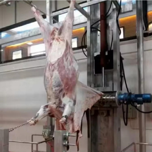 Cattle Dehiding and Skinning Machine for Slaughterhouse