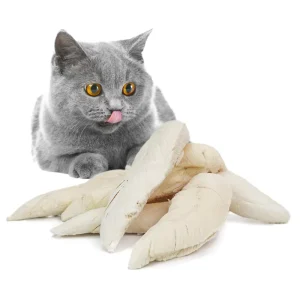 Chicken Flavor Cat Food Treats Chicken Meat Freeze Dried Chicken Breast