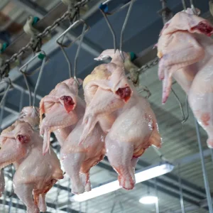 Chicken Machine Plucker for Chicken De-Feathering