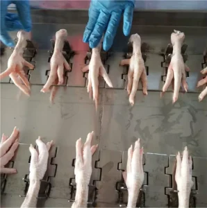 Chicken Wing Cutting Cutter Machine Duck Feet Chicken Paw Cutting Machine