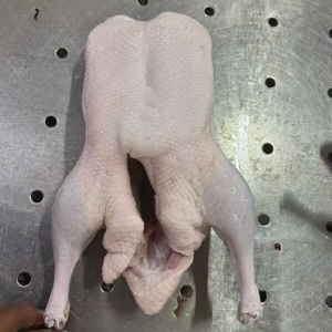 Child Likes The Simple Frozen Stuffed Duck That Is Easy to Cook