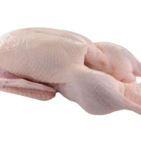 China Bulk Halal Frozen Whole Duck No Offal Export
