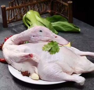 China Factory Direct Supply Frozen Whole Duck