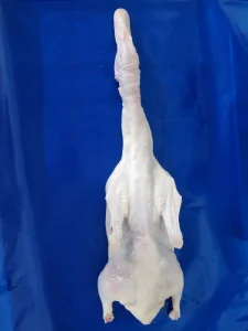 China Frozen Whole Duck Exporter Fresh Frozen IQF Processed Custom Carton Packaging Available
