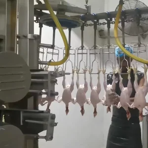 China Machine Manufactures Custom Slaughter House Processing Line Chicken Abattoir Equipment