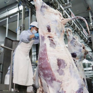 China Manufacturer Automatic Cattle Slaughter Line Complete Abattoir Equipment Beef Slaughtering Equipment
