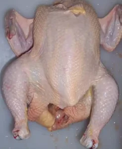 China Perfect Premium Grade Frozen Whole Chicken and Parts
