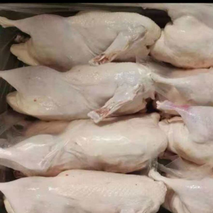 Chinese Factories Produce Duck Carcasses Their Heads Tails and Internal Organs Removed