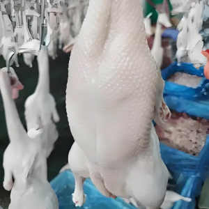 Chinese Made Duck Embryos for Roast Duck