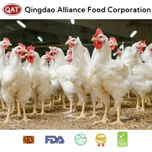 Chinese Supplier Frozen Whole Chicken Shawarma