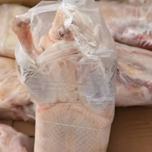Chinese White-Fleshed Duck Used for Making Nutritious Soup
