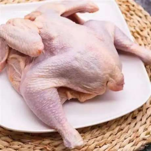 Clean and Hygienic Frozen Dressed Chicken