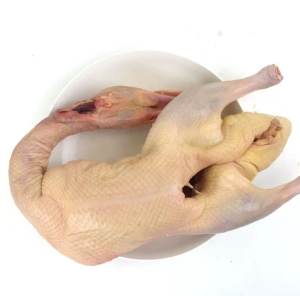 Cleaned Frozen Whole Duck Ideal for Food Service Butchers Supermarkets