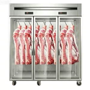 Commercial Display Freezer Stainless Steel Hanging Meat Cabinet for Beef Lamb Fresh Meat Preservation