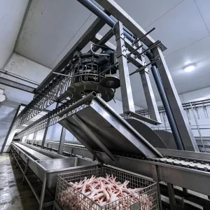 Commercial High Speed Poultry Hock Splitter Easy Disassemble Stainless Steel Chicken Duck Toe Full Slaughter Matching Device