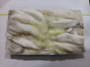 Competitive Price Logistics Quality Fresh Illex Squid Strip