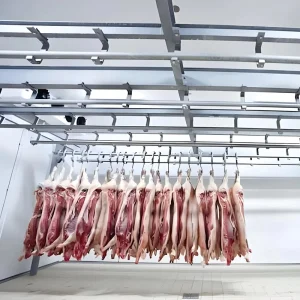 Complete Meat Cold Chain Solutions Carcass Chilling Cutting Room Cooling Long Term Freezers Cold Rooms