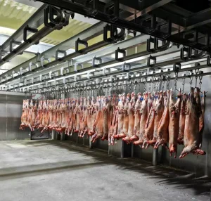 Complete Sheep Abattoir Slaughter Line Lamb Halal Slaughterhouse Equipment Slaughtering Machine