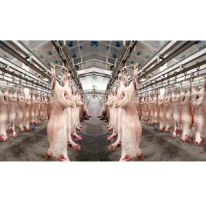 Cow Pig Sheep Slaughter Equipment Lamb Cattle Head Hoof Feet Trotters Hair Removal Machine