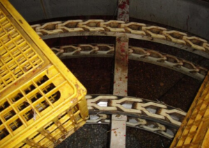 Crate POM Chain Conveyor Bird Cage Chain Conveyor