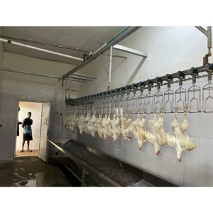 Custom Chicken Slaughtering Automatic Production Line for Slaughterhou Poultry Slaughtering Poultry Food Machine Making Machine