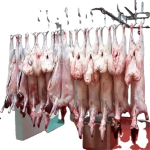 Customized Halal Lamb Meat Slaughter Process for Sheep Abattoir
