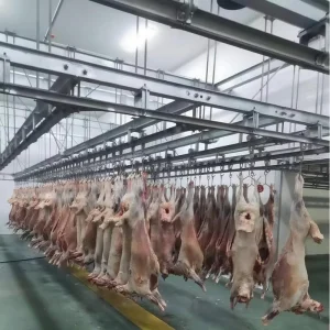 Customized Sheep Cattle Slaughterhouse Cold Storage Project for Lamb Aging Chilling Freezing Meat Cold Room System