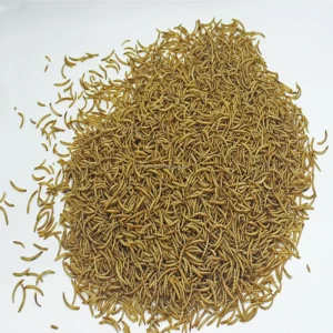 Direct Supply From Manufacturers Sufficient Dried Mealworms Pet Treats with Customized Package