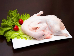 Directly Sourced Origin Fresh Frozen Whole Duck